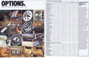 1981 Chevy Van (Cdn)-10-11.jpg